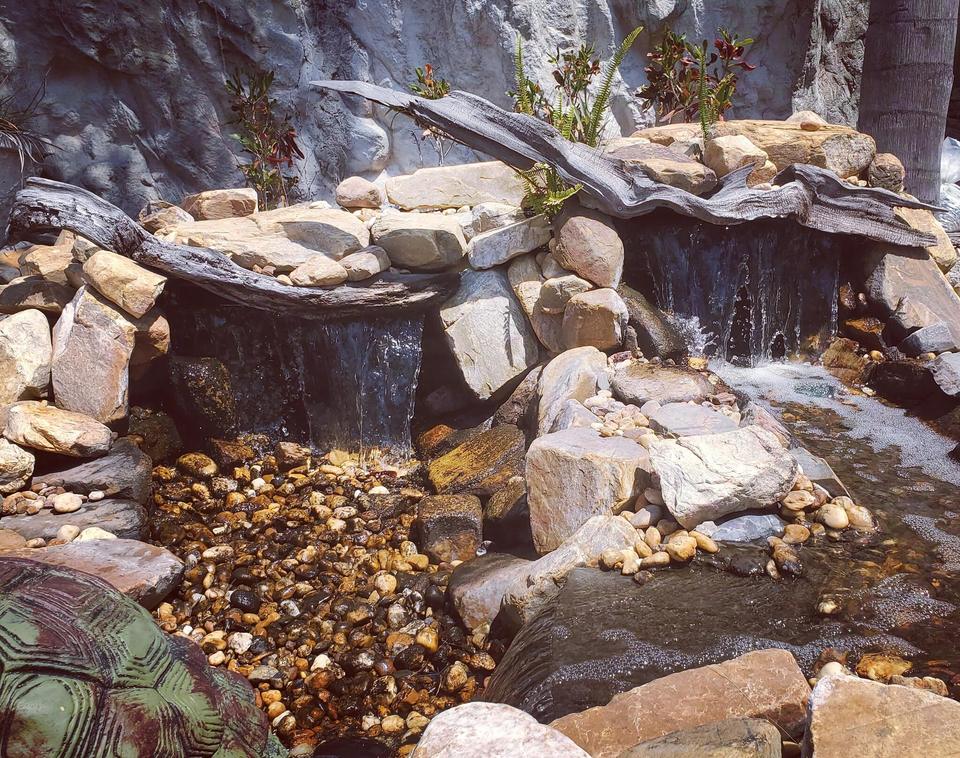 Waterfall cascading over rock ledges with driftwood and lush plantings