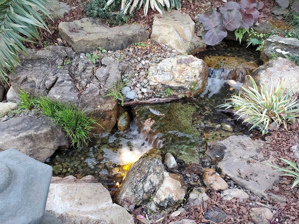 Rock-lined stream with a gentle waterfall and warm underwater light at dusk