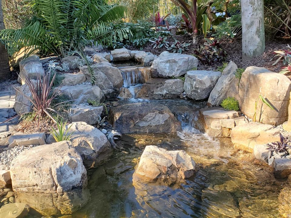 Multi-tier rock waterfall cascading into a clear shallow pond with ferns and palms