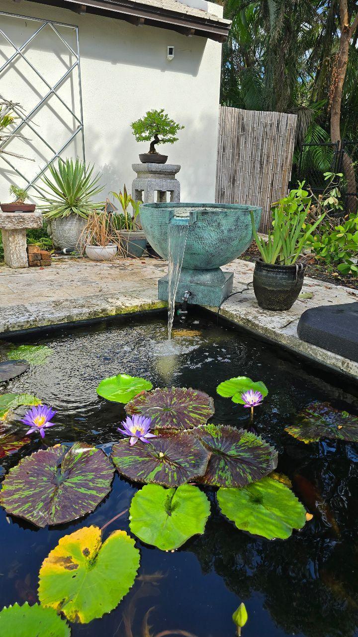 Stone bowl fountain beside lily pads in a clear pond