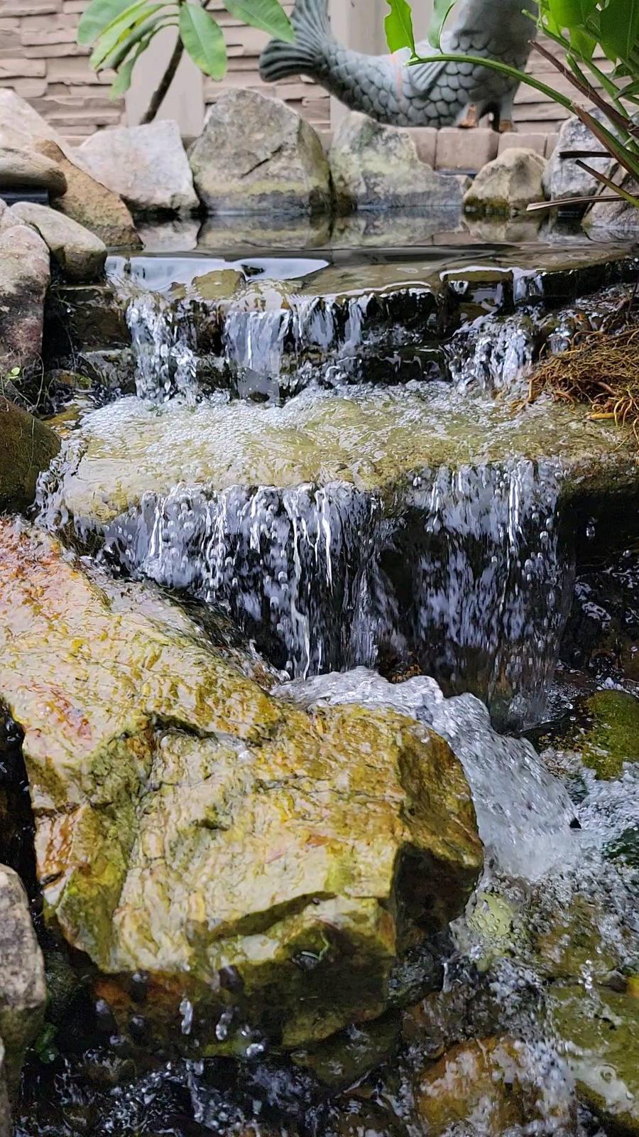 Heron standing near a cascading stone waterfall