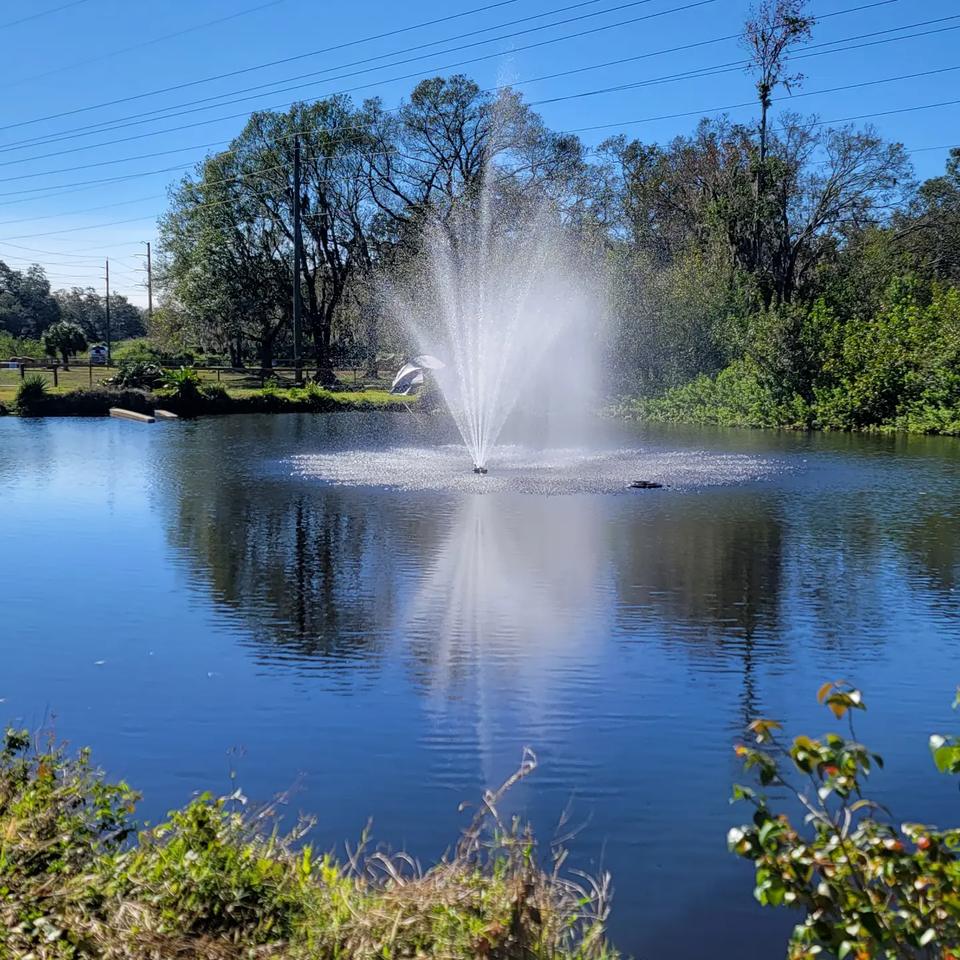 Floating fountain spraying a tall white plume in the middle of a blue lake, with oaks and palms on the far shore