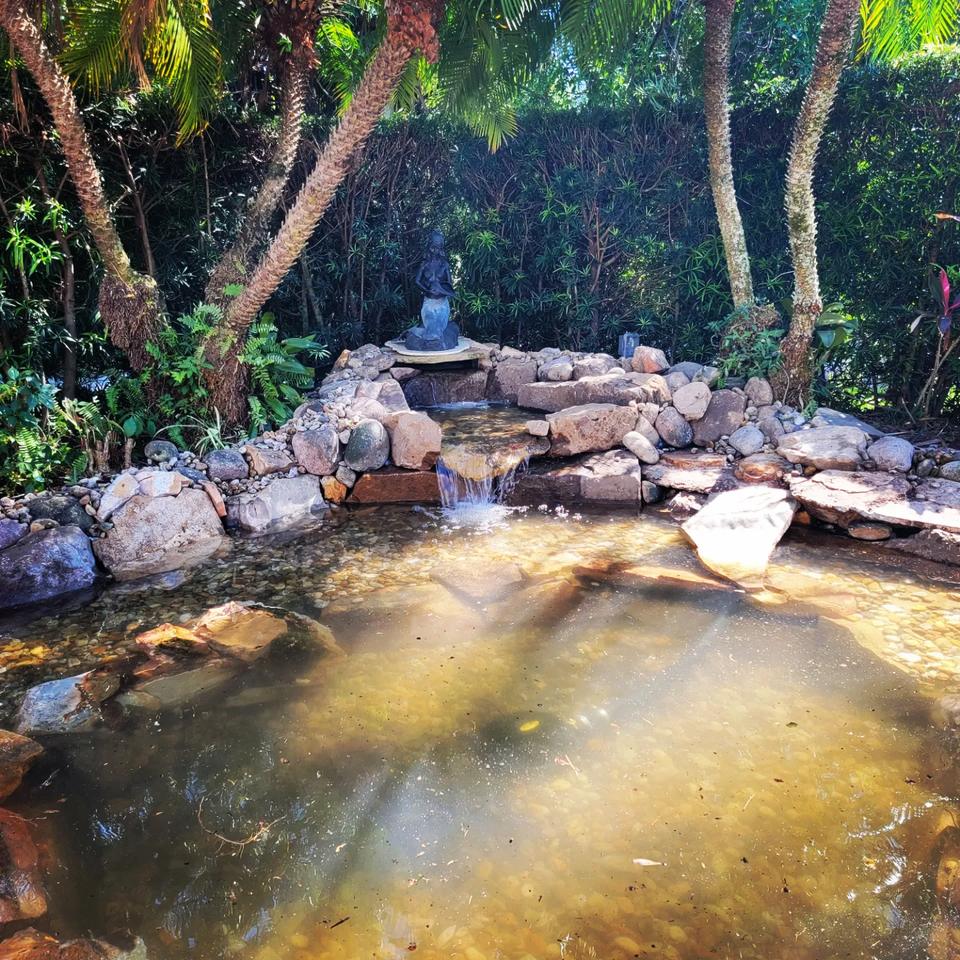Clear pond with visible rocks under the water
