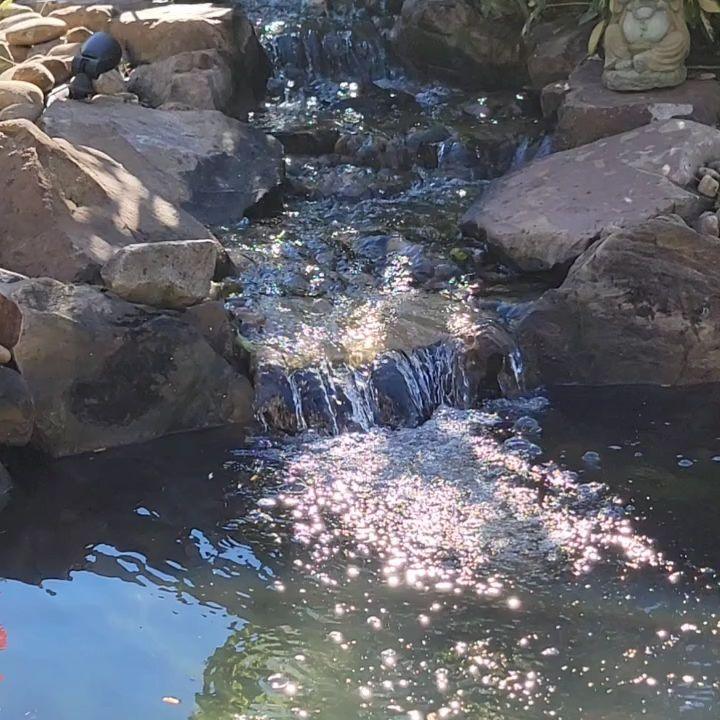 Sunlit waterfall into a clear backyard pond