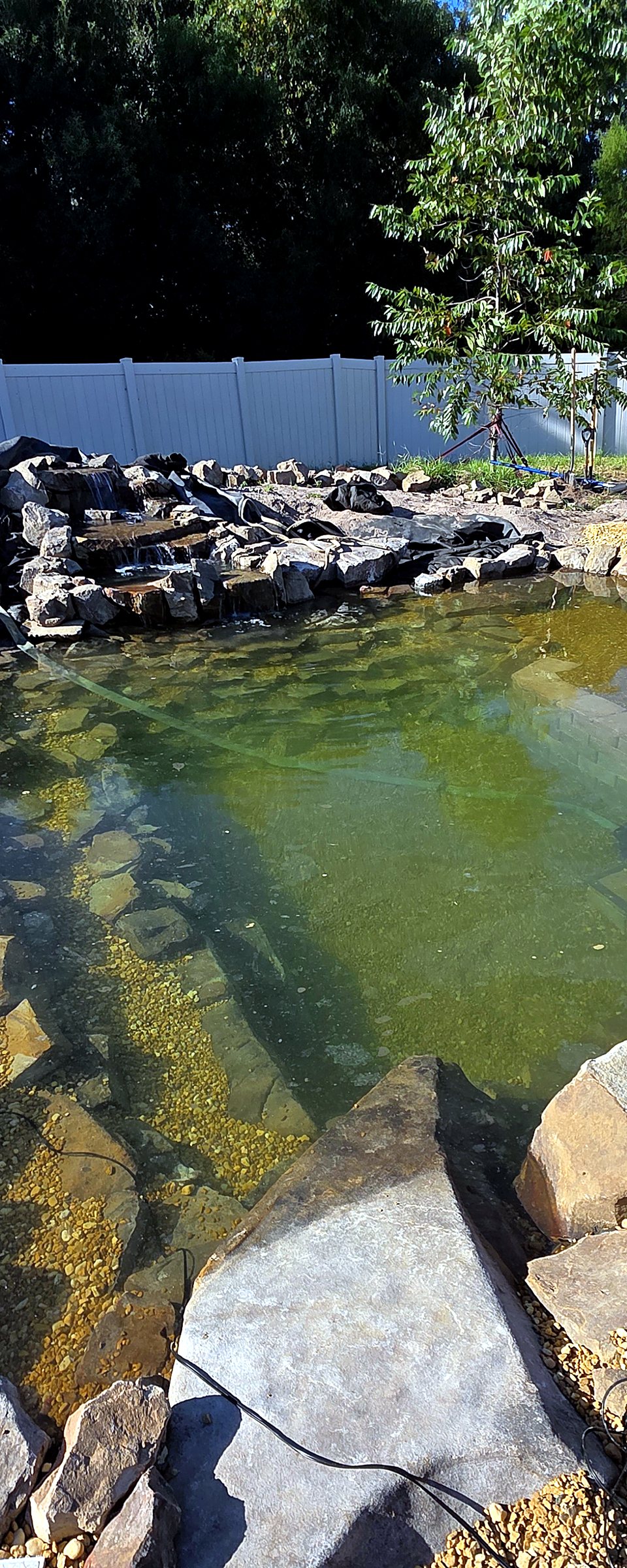 Looking into the swimming pond from the left side, with the stone wall built under the water
