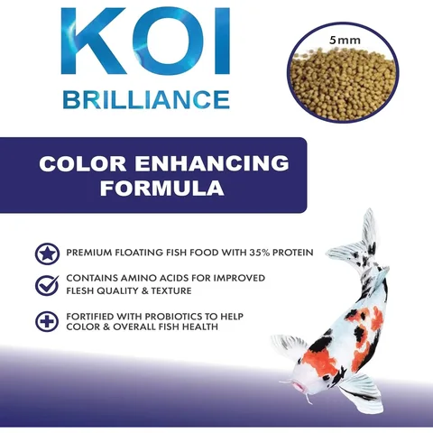 Anjon Thrive Koi Brilliance – Color Enhancing Food