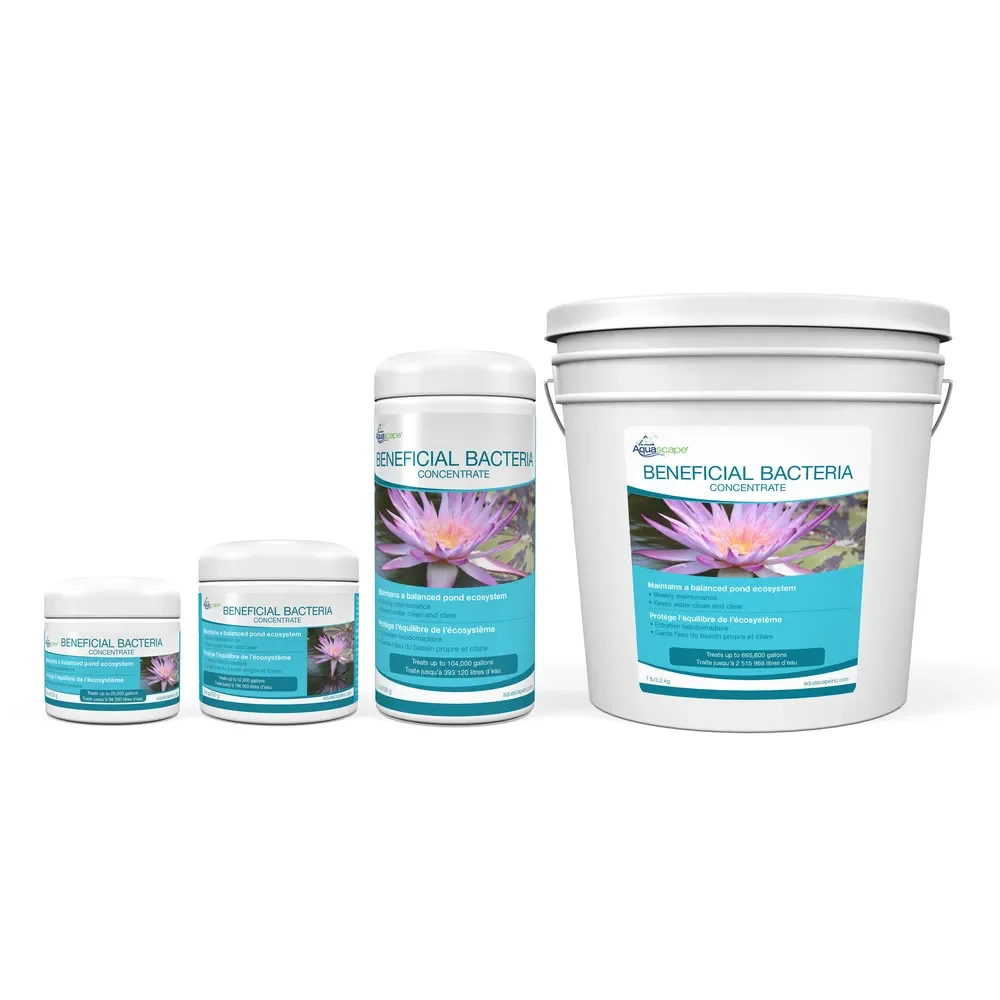 Aquascape Beneficial Bacteria Concentrate – Dry