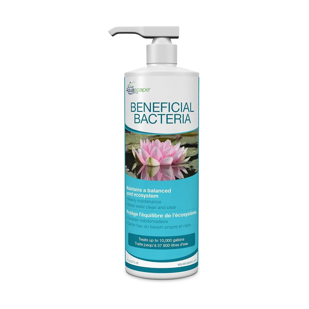 Aquascape Beneficial Bacteria for Ponds (Liquid, 16 oz)